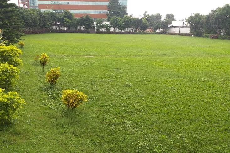 Lawns
