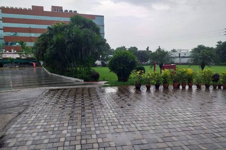 Lawns