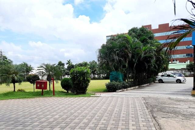 Lawns