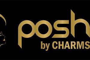 Posh Beauty Salon Logo