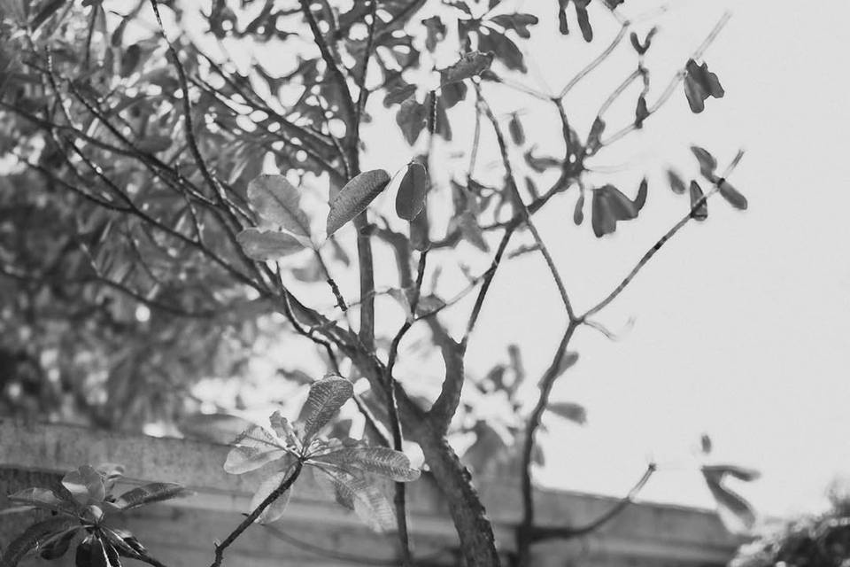 VowFrames portfolio