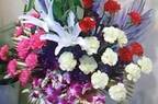 Klassiq Florist