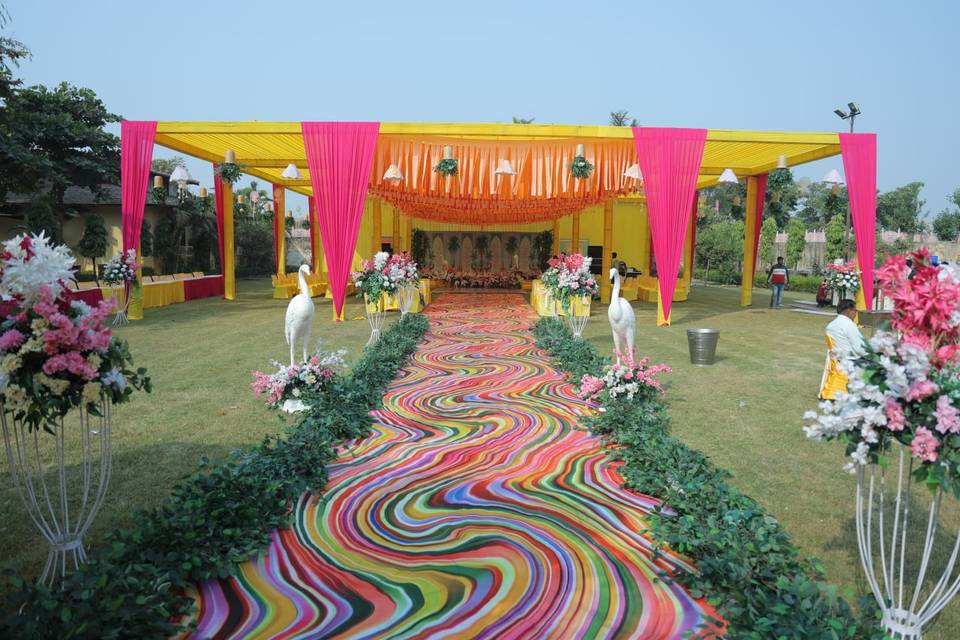Lawn area