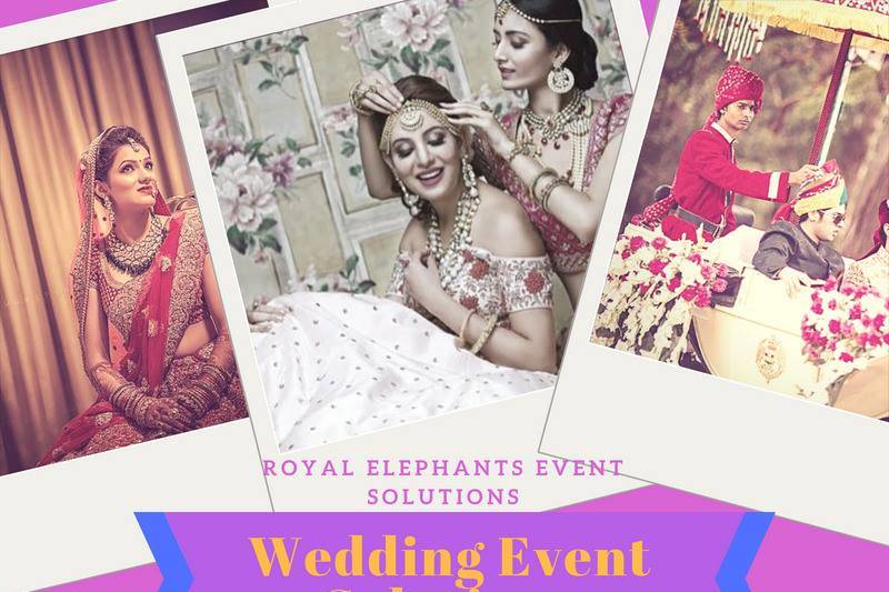 Royal Elephants Event Solution