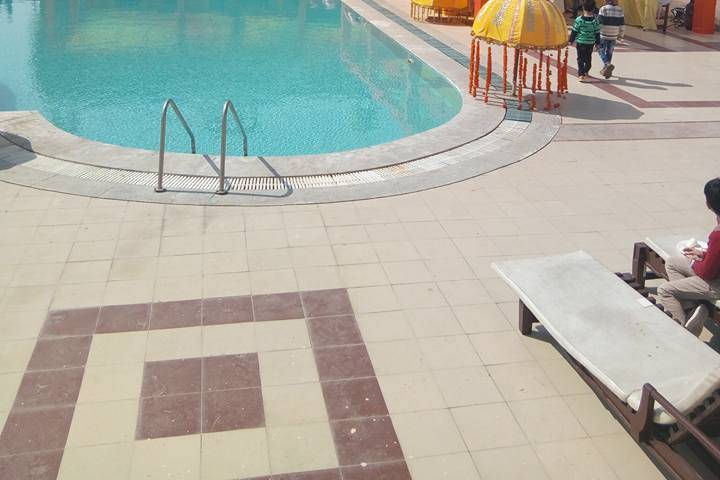 59926474_1411609162297554_5569423563196203008_n