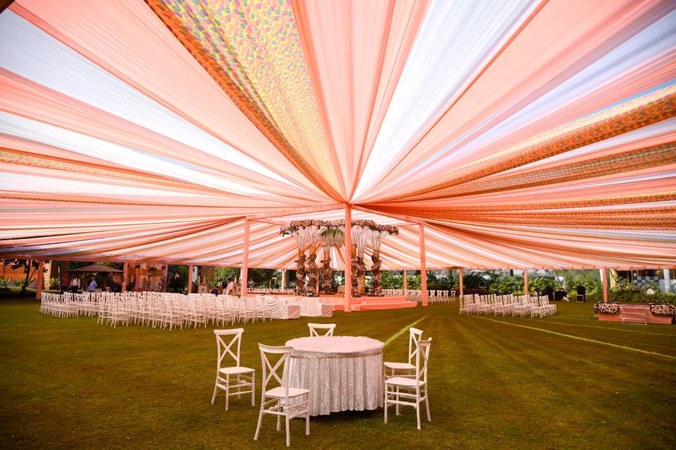 Lawn area