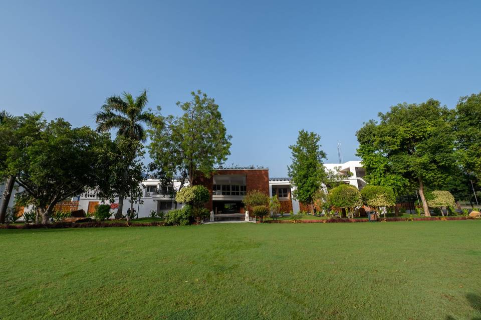 Lawn area