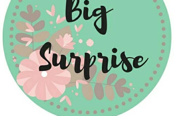 Big Surprise Logo