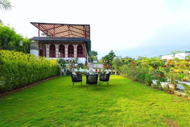 Lawn area