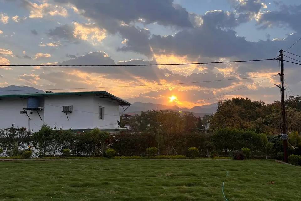 Lawn area
