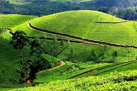 Munnar